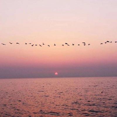 轻舞罗裳测试版下载