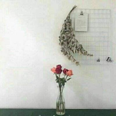 放开我师父九游版下载